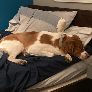 Meet your Posher, Rowan